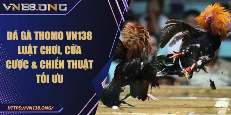 Đá Gà Thomo VN138 - Luật Chơi, Cửa Cược & Chiến Thuật Tối Ưu