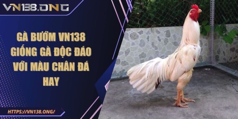 Gà Bướm VN138 - Giống Gà Độc Đáo Với Màu Chân Đá Hay